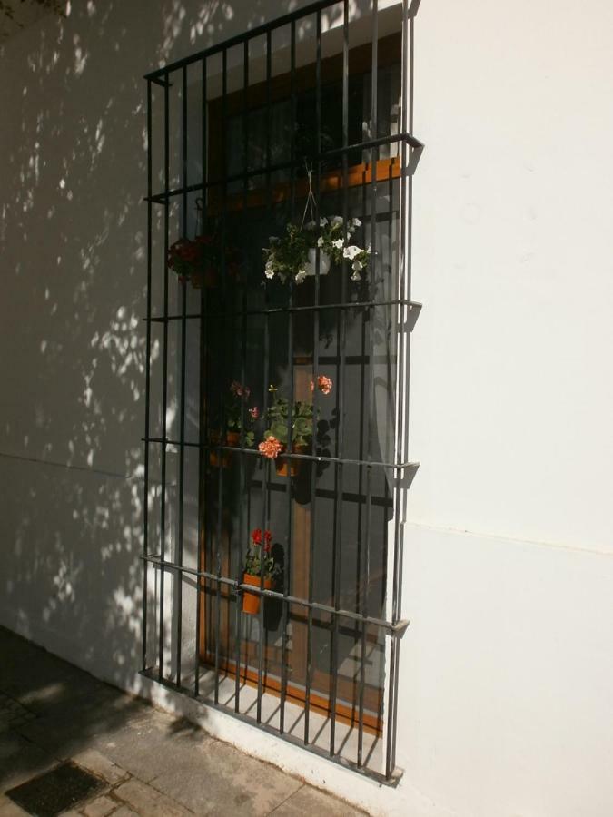 Casa En Plaza De La Merced_Centro Flamenco_Cádiz Exteriér fotografie